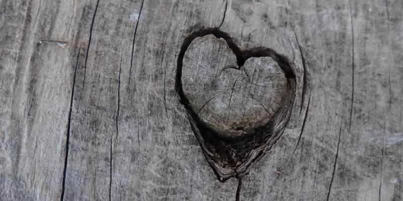 Amor Corazón grabado en un tronco